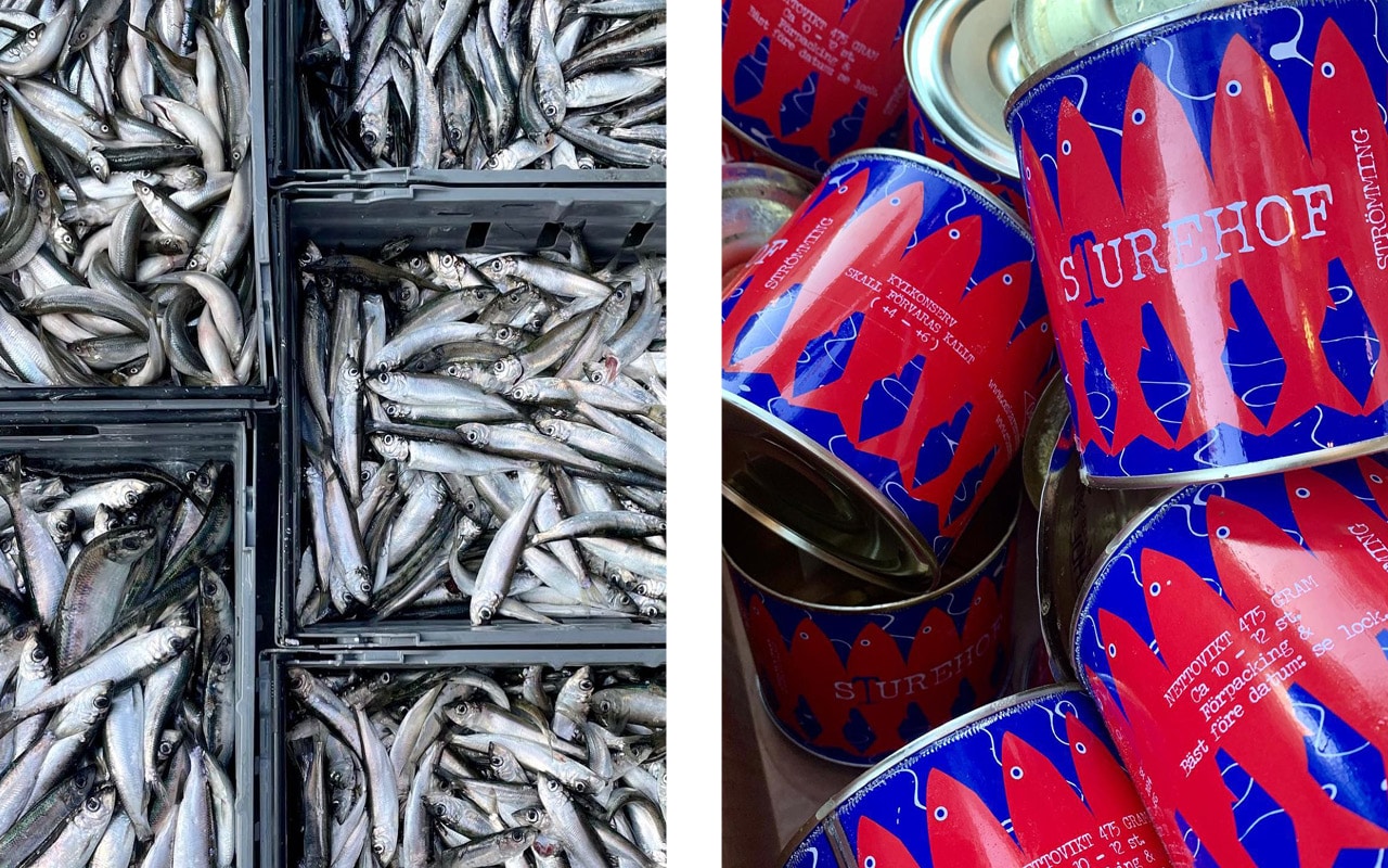 surströmming