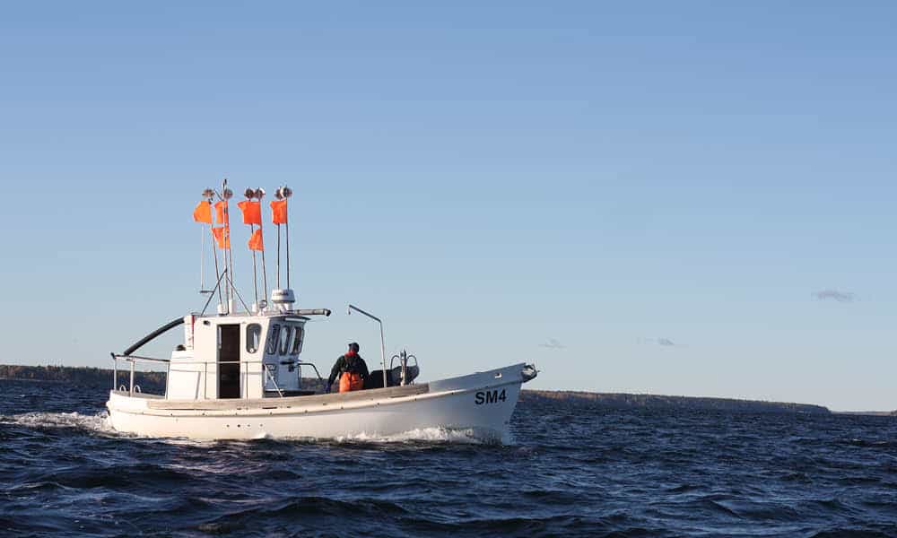 fiskebåten SM4 tarona